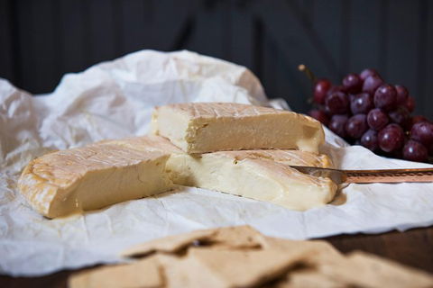 Artisan Cheese Tastings And Sales - Holiday Find 8