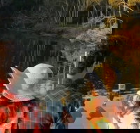 Sunset Eco Rainforest River Cruise - Holiday Find