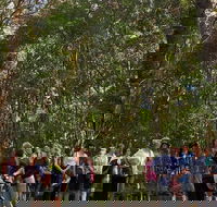 Breakfast Bushwalk Tour in Captain Cook's Monument - Holiday Find