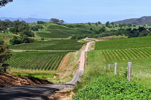 The Complete Hunter Valley Wine Tour Of Pokolbin, Mt View, Lovedale And Rothbury - Holiday Find 0