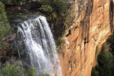 Walking With Wild Wombats Private Day Trip From Sydney - Holiday Find 6