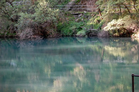 Jenolan Caves - Wildlife And Caves - Holiday Find 1