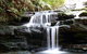 Private 10-hour Tour To Blue Mountains From Sydney - Hotel Pick Up & Drop Off - thumb 6
