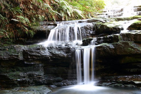 Private 10-hour Tour To Blue Mountains From Sydney - Hotel Pick Up & Drop Off - Holiday Find 6