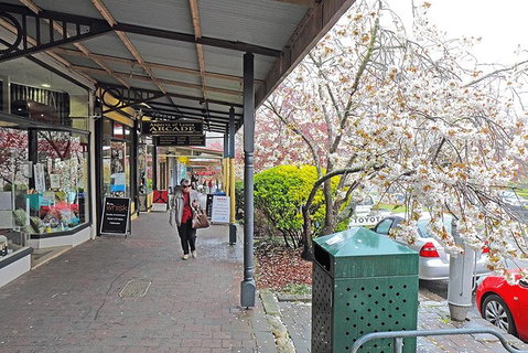 Blue Mountains Highlights, Wildlife Park And Scenic World Full Day Private Tour - Holiday Find 2