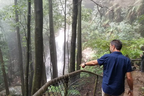 Blue Mountains Highlights, Wildlife Park And Scenic World Full Day Private Tour - Holiday Find 6