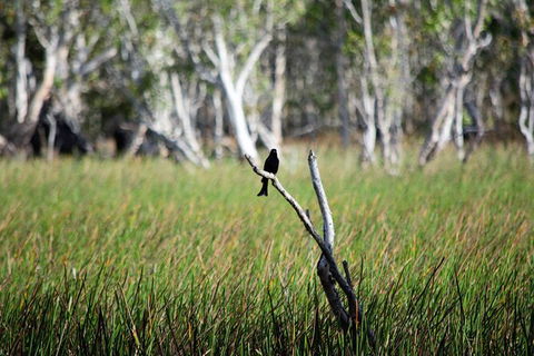 ETHICAL ADVENTURES - Dry Season Litchfield Region, Max 10 Guests - Holiday Find 2