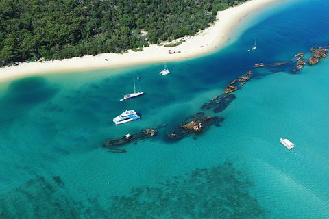 All Inclusive Dolphin And Tangalooma Wrecks Cruise - Holiday Find 3