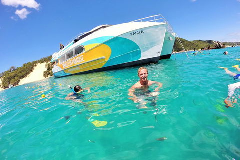 All Inclusive Dolphin And Tangalooma Wrecks Cruise - Holiday Find 0