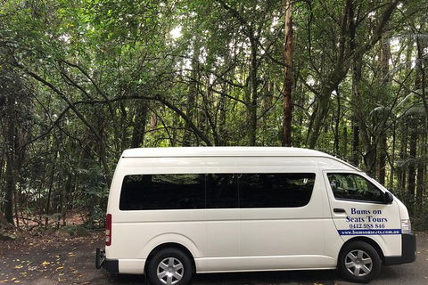 Springbrook And Mt Tamborine Adventure Tour - Bring The Kids!! - Holiday Find 7