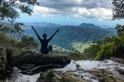 Springbrook And Mt Tamborine Adventure Tour - Bring The Kids!! - Holiday Find 6