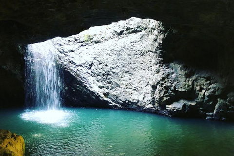 Springbrook And Mt Tamborine Adventure Tour - Bring The Kids!! - Holiday Find 2
