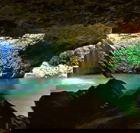 Springbrook and Mt Tamborine Adventure Tour - Bring the Kids - Holiday Find