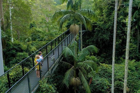 Springbrook And Mt Tamborine Adventure Tour - Bring The Kids!! - Holiday Find 4
