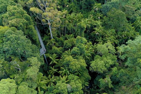 Springbrook And Mt Tamborine Adventure Tour - Bring The Kids!! - Holiday Find 10