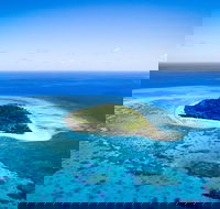 Lady Musgrave Day Trip from Bundaberg Including Snorkeling Glass Bottom Tour and Guided Island Walk - Holiday Find