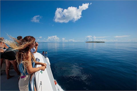 Lady Musgrave Day Trip From Bundaberg Including Snorkeling, Glass Bottom Tour And Guided Island Walk - Holiday Find 4