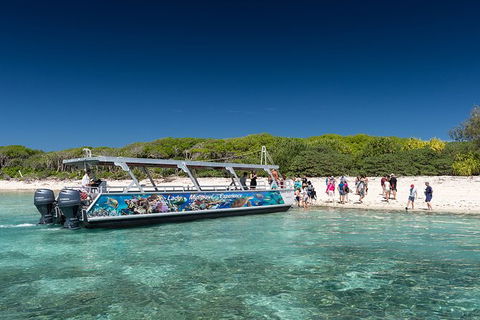 Lady Musgrave Day Trip From Bundaberg Including Snorkeling, Glass Bottom Tour And Guided Island Walk - Holiday Find 5