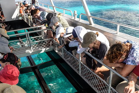 Lady Musgrave Day Trip From Bundaberg Including Snorkeling, Glass Bottom Tour And Guided Island Walk - Holiday Find 3