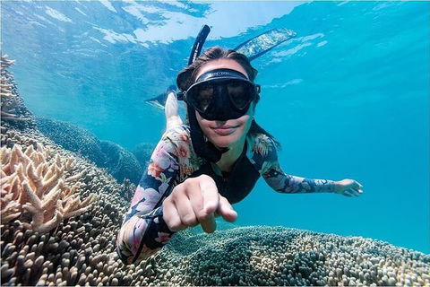 Lady Musgrave Day Trip From Bundaberg Including Snorkeling, Glass Bottom Tour And Guided Island Walk - Holiday Find 1
