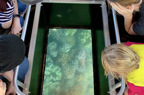 Airlie Beach Glass Bottom Boat Tour - Holiday Find 10