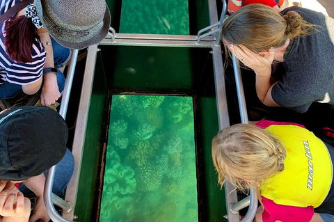 Airlie Beach Glass Bottom Boat Tour - Holiday Find 11