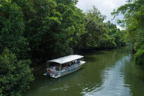 Daintree Rainforest, Cape Tribulation And Bloomfield Track Small Group Tour - Holiday Find 5