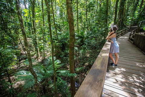 Daintree Rainforest, Cape Tribulation And Bloomfield Track Small Group Tour - Holiday Find 3