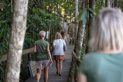 Daintree Rainforest, Cape Tribulation And Bloomfield Track Small Group Tour - Holiday Find 15