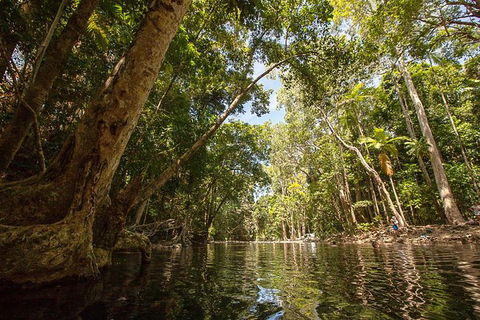 Daintree Rainforest, Cape Tribulation And Bloomfield Track Small Group Tour - Holiday Find 7