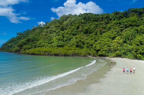 Daintree Rainforest, Cape Tribulation And Bloomfield Track Small Group Tour - Holiday Find 2