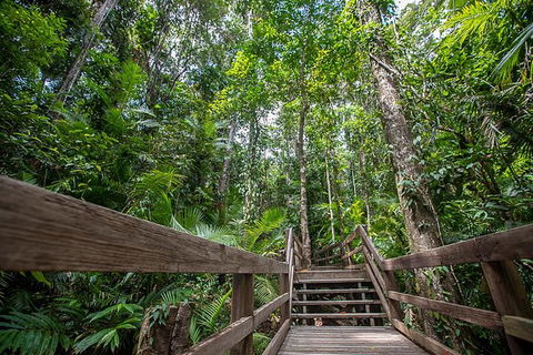 Daintree Rainforest, Cape Tribulation And Bloomfield Track Small Group Tour - Holiday Find 13