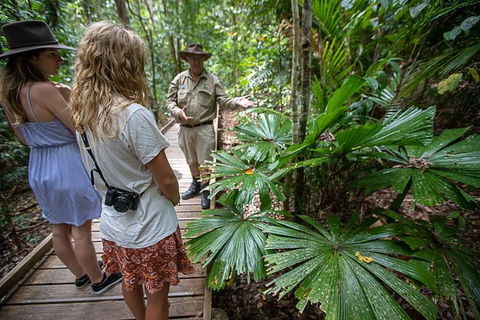Daintree Rainforest, Cape Tribulation And Bloomfield Track Small Group Tour - Holiday Find 12