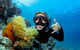 Great Barrier Reef Diving And Snorkeling Cruise From Cairns - thumb 6