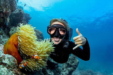 Great Barrier Reef Diving And Snorkeling Cruise From Cairns - Holiday Find 6