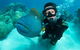 Great Barrier Reef Diving And Snorkeling Cruise From Cairns - thumb 1
