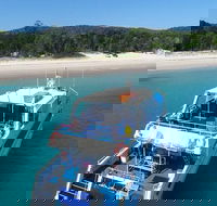 Cruise in Moreton Bay Marine Park and Moreton Island - Holiday Find