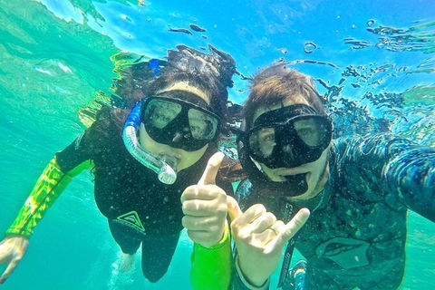 2.5hr Gold Coast Kayaking & Snorkelling Tour - Holiday Find 2