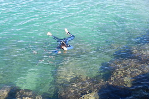 2.5hr Gold Coast Kayaking & Snorkelling Tour - Holiday Find 11