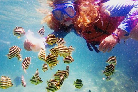 2.5hr Gold Coast Kayaking & Snorkelling Tour - Holiday Find 10