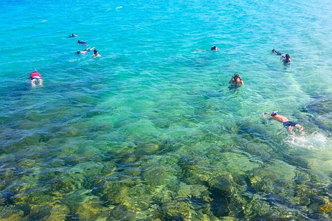 2.5hr Gold Coast Kayaking & Snorkelling Tour - Holiday Find 9