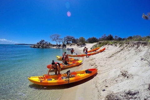 2.5hr Gold Coast Kayaking & Snorkelling Tour - Holiday Find 4