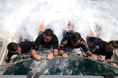 Eco Marine Safari - Boom Netting & Snorkeling Moreton Island - Roma St Transfers - Holiday Find 9