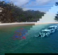 Eco Marine Safari - Boom netting  Snorkeling Moreton Island - Roma St Transfers - Holiday Find