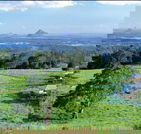 Full Day Sunshine Coast Hinterland Luxury Small Group Tour from Brisbane - Holiday Find