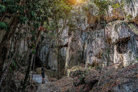 Capricorn Caves Cathedral Cave Tour - Holiday Find 8