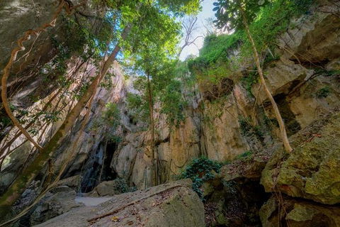 Capricorn Caves Cathedral Cave Tour - Holiday Find 9