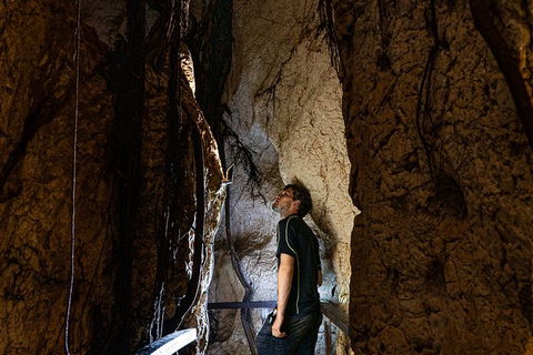 Capricorn Caves Cathedral Cave Tour - Holiday Find 5