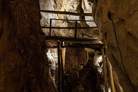 Capricorn Caves Cathedral Cave Tour - Holiday Find 2