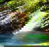 Wooroonooran National Park Rainforest and Wildlife Day Trip from Cairns - Holiday Find